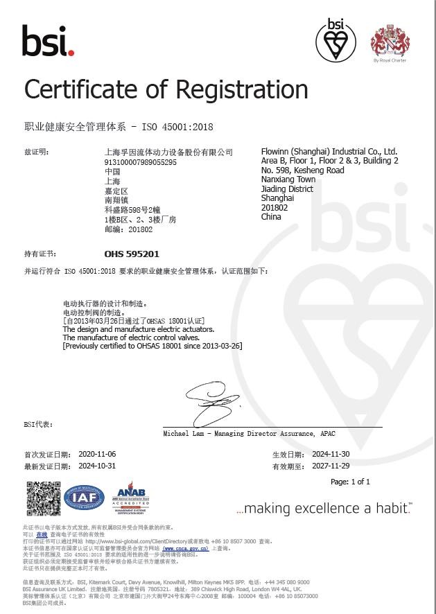 ISO 45001 职业健康安全管理体系