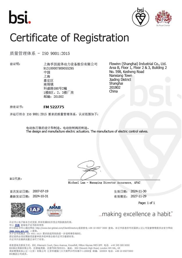 ISO 9001 质量体系管理