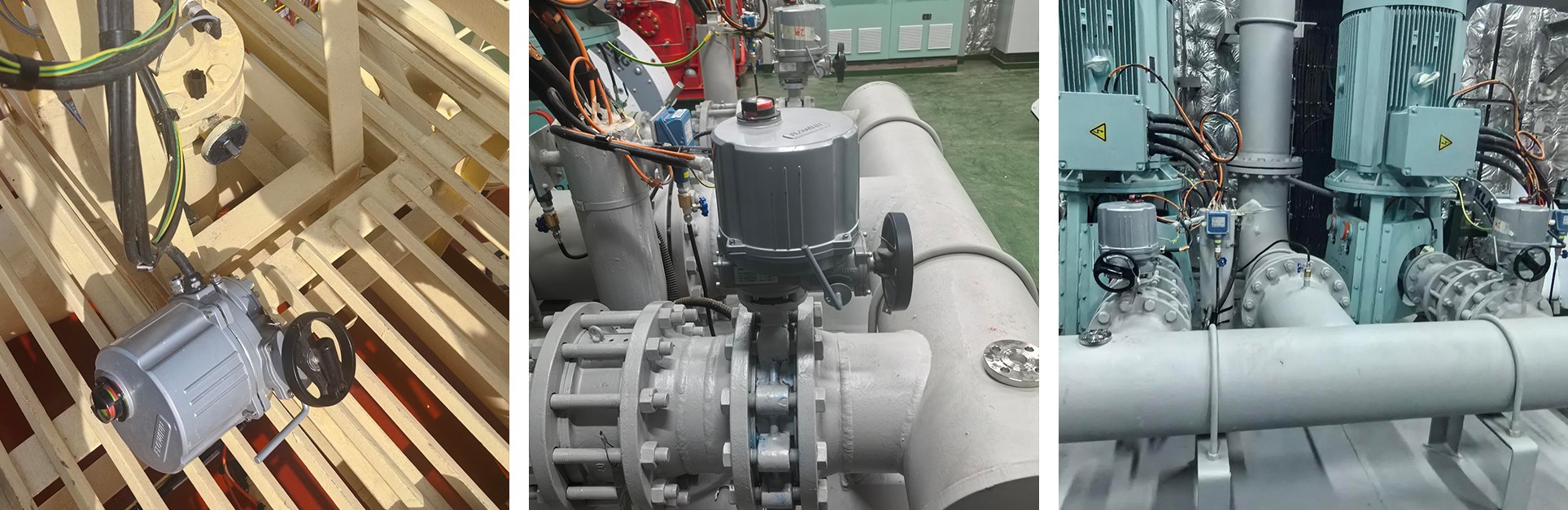 MSC CAMEROON 集装箱船