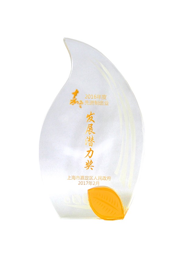 2016年度嘉定区发展潜力奖