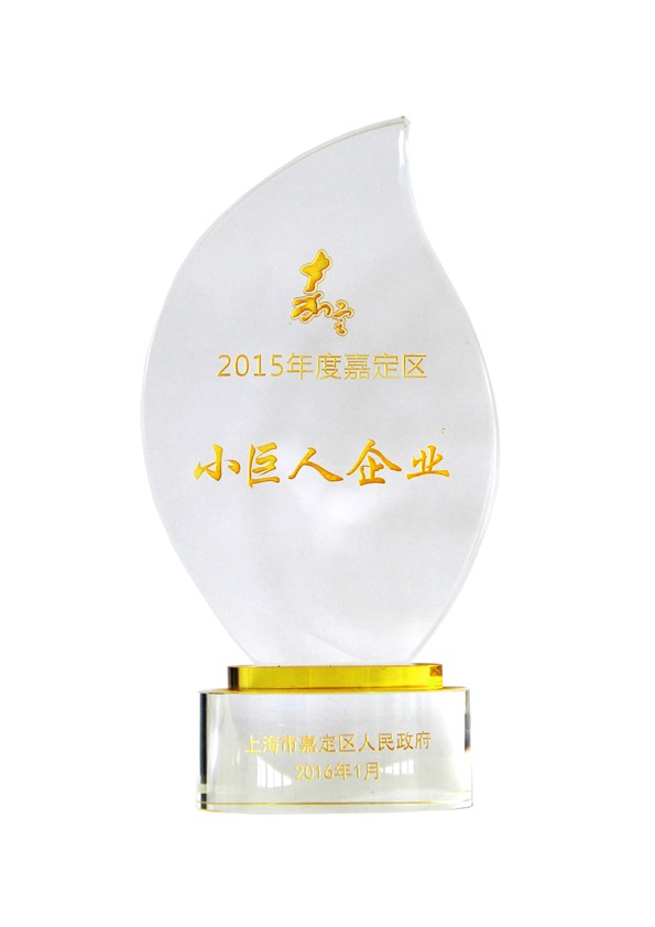 2015年嘉定小巨人企业